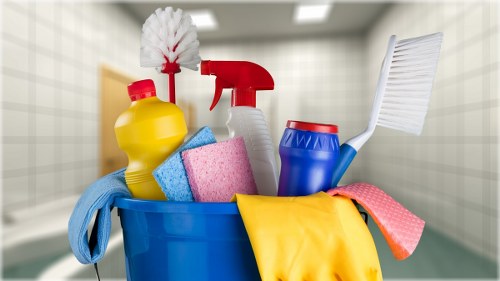 Professional carpet cleaning in a Brondesbury home