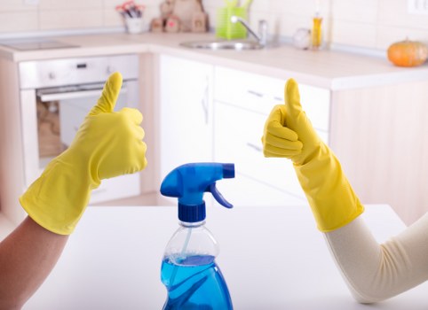 Steam carpet cleaning in Brondesbury living room service