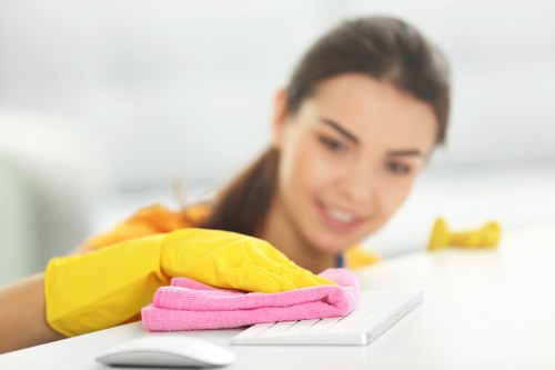 Fabric sofa cleaning process in a Brondesbury home