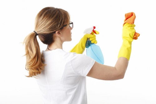 Steam cleaning treatment for curtains in a Brondesbury property