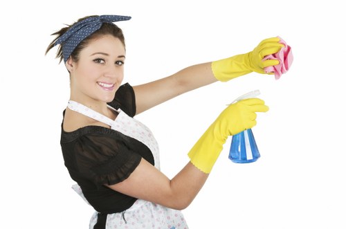 Carpet cleaning for pet urine odour in Brondesbury